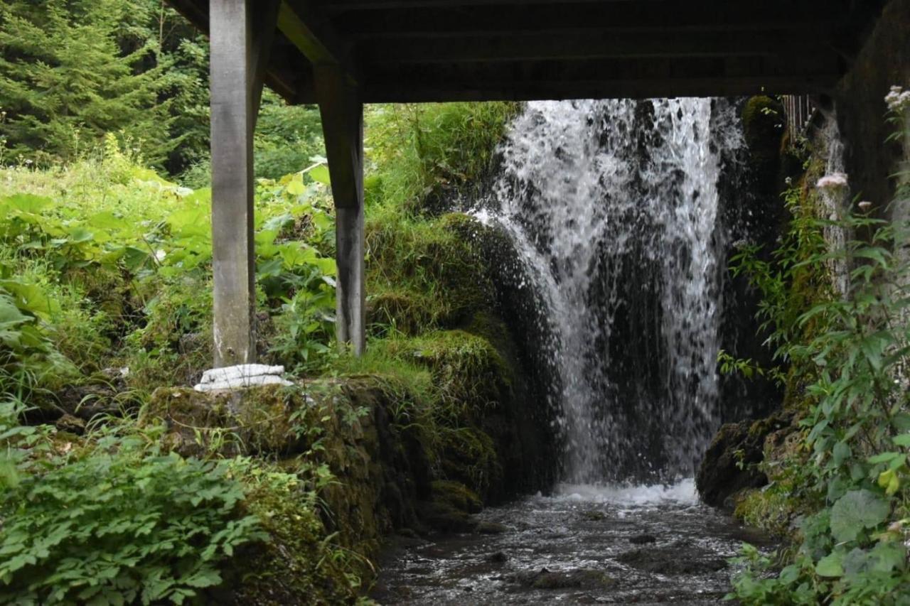 Wooden House With A Waterfall "Stipanov Mlin" Villa Plitvička Jezera Eksteriør billede
